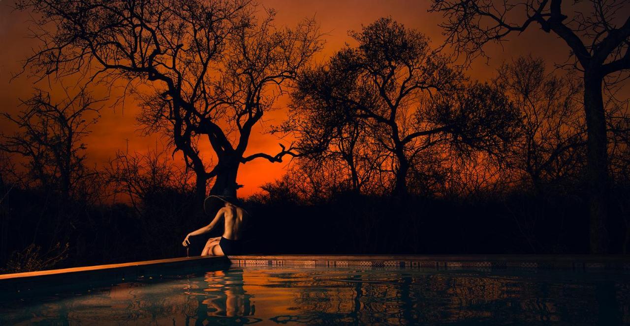 Safari Moon Luxury Bush Lodge Hoedspruit Exteriör bild